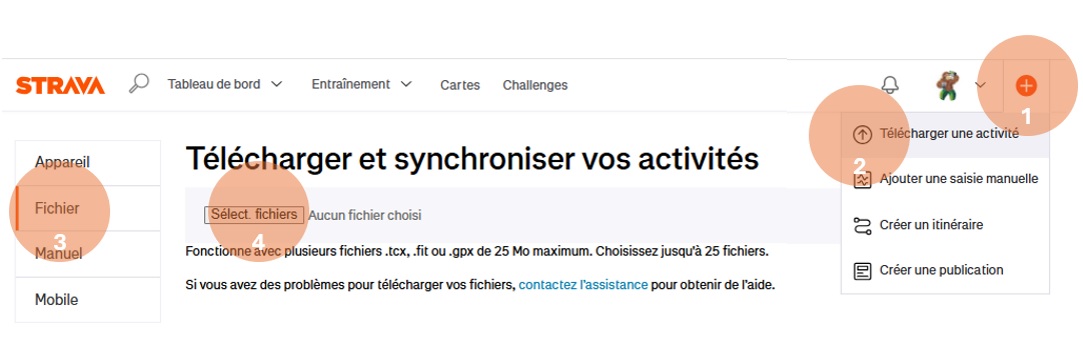 Import Strava 1