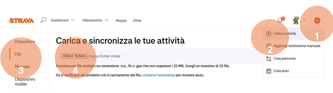 Importazione Strava 1